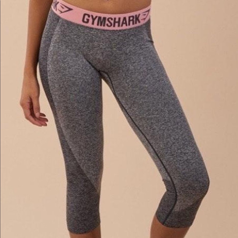 Gym Shark